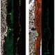 Imágenes ampliadas de las muestras de roca, en las cuales (b) está 1.000 veces más ampliada que (a). Las manchas verdes a la derecha de cada una muestran la bacteria, iluminada por luz fluorescente. Las áreas grises son de arcilla, y las áreas naranja son rocas sólidas de basalto (volcánicas).